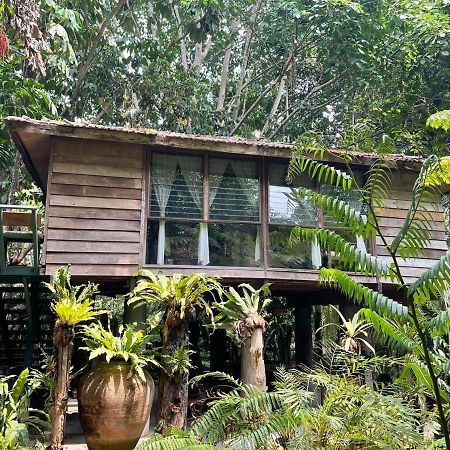 Fern Paradise Chiang Mai Buitenkant foto