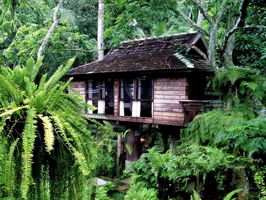 Fern Paradise Chiang Mai Buitenkant foto
