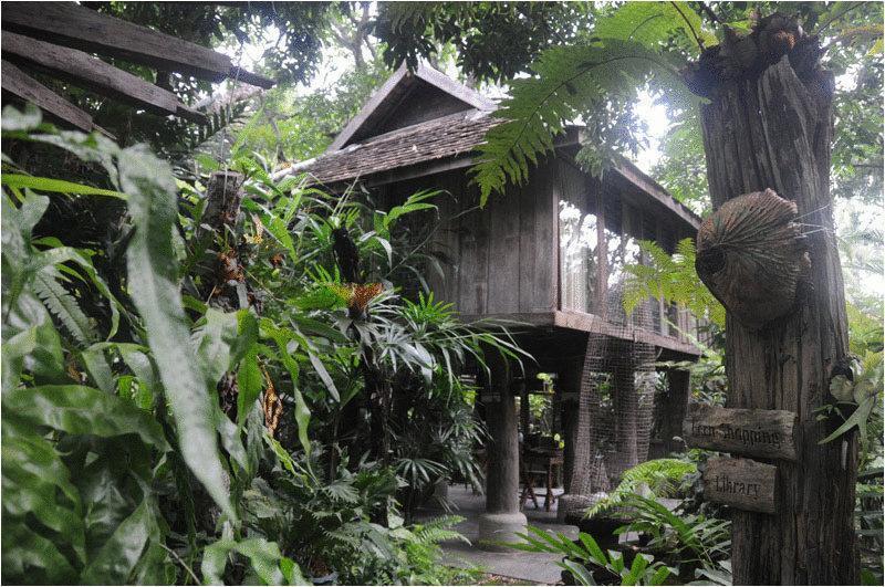 Fern Paradise Chiang Mai Buitenkant foto