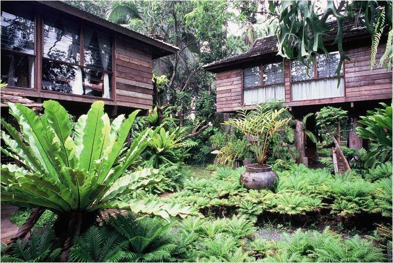 Fern Paradise Chiang Mai Buitenkant foto