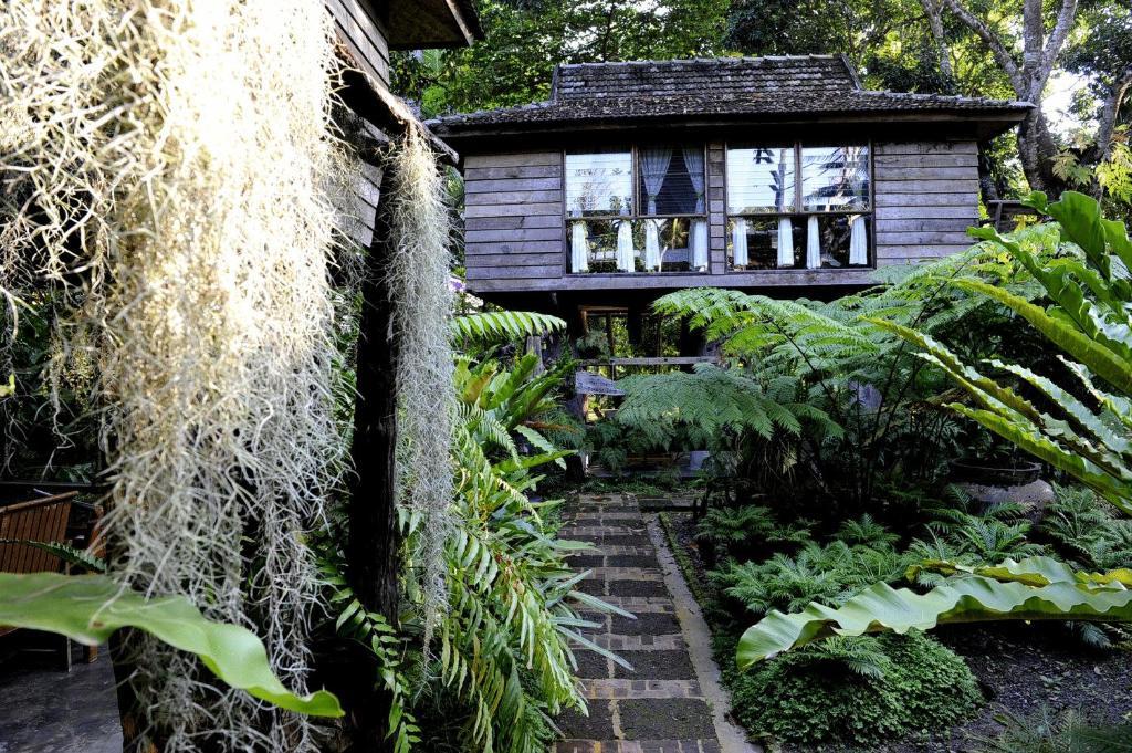 Fern Paradise Chiang Mai Kamer foto